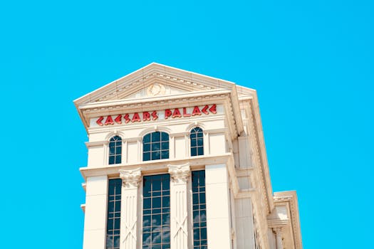 Winzoom Success Stories: Real Player Wins
